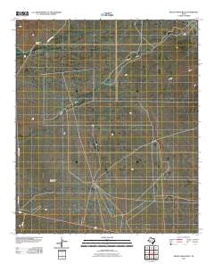 2010 Map of Mickey Draw West, 2010 Print