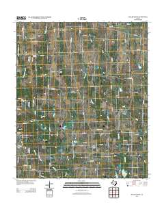 2012 Map of Miller Grove, 2012 Print
