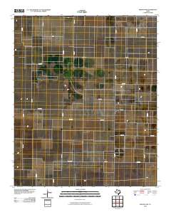 2010 Map of Morton NW, 2010 Print