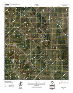 2010 Map of Mount Olive, 2010 Print
