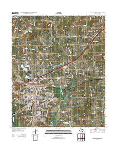 2013 Map of Mount Pleasant, 2013 Print