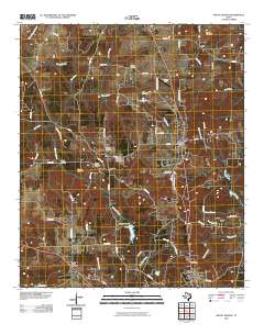 2010 Map of Mount Selman, 2010 Print