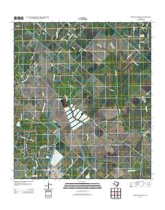 2013 Map of Mustang Bayou, 2013 Print