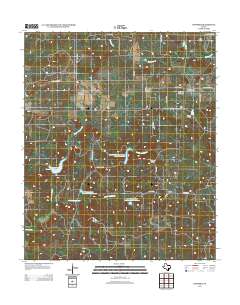 2012 Map of Newport, 2012 Print