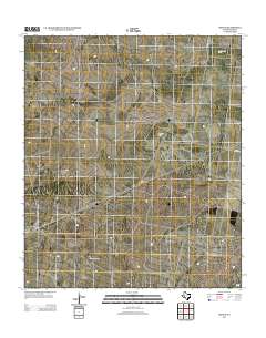 2012 Map of Owego, 2012 Print