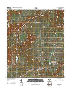 2012 Map of Palo Pinto, 2012 Print