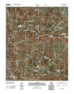 2010 Map of Pecan Creek, 2010 Print