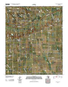 2010 Map of Pecan Gap, 2010 Print