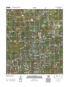 2013 Map of Pine Prairie, 2013 Print