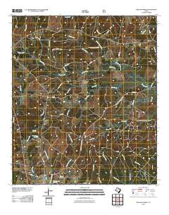 2010 Map of Pineland North, 2010 Print