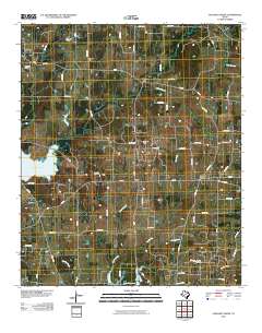 2010 Map of Pleasant Grove, 2010 Print