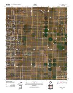 2010 Map of Pleasant Hill, 2010 Print