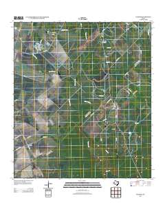2013 Map of Pledger, 2013 Print