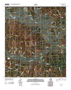 2010 Map of Pluck, 2010 Print