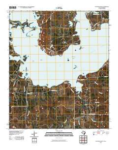 2010 Map of Potters Point, 2010 Print
