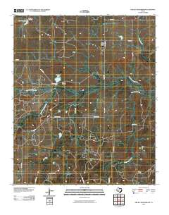 2010 Map of Prickly Pear Branch, 2010 Print