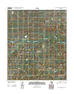 2012 Map of Prickly Pear Branch, 2012 Print