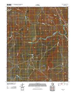 2010 Map of Puente, 2010 Print