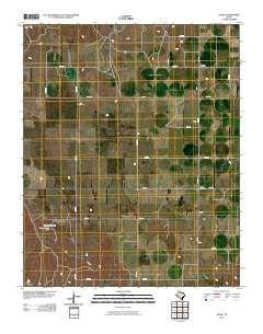 2010 Map of Quail, 2010 Print