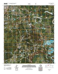 2010 Map of Rayburn, 2010 Print