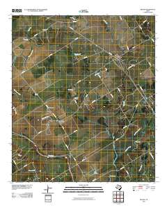 2010 Map of Reagan, 2010 Print