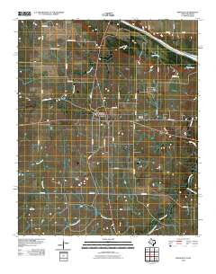 2010 Map of Ringgold, 2010 Print