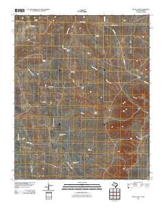 2010 Map of Rock Camp, 2010 Print