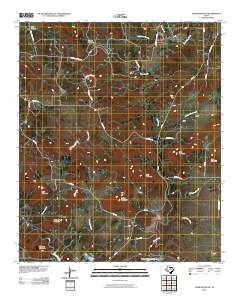 2010 Map of Ross Mountain, 2010 Print