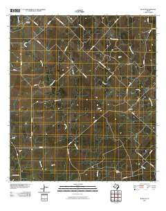 2010 Map of Runge SE, 2010 Print