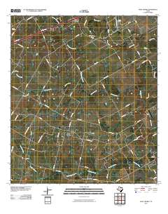 2010 Map of Saint Hedwig, 2010 Print