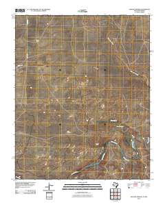 2010 Map of Sanchez Springs, 2010 Print