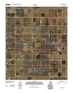 2010 Map of Seagraves SE, 2010 Print