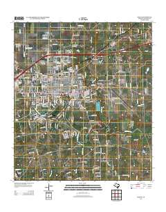2013 Map of Seguin, 2013 Print