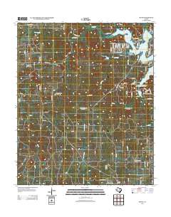 2013 Map of Selma, 2013 Print