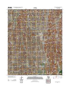 2012 Map of Skellytown, 2012 Print