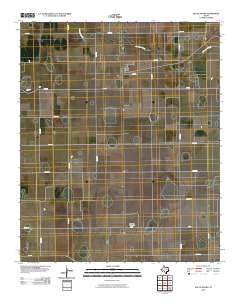 2010 Map of South Plains, 2010 Print