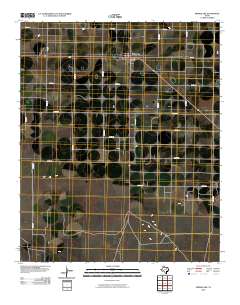 2010 Map of Springlake, 2010 Print