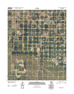 2012 Map of Springlake, 2012 Print