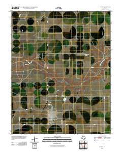 2010 Map of Sunray, 2010 Print