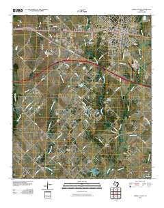 2010 Map of Terrell South, 2010 Print