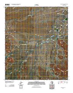 2010 Map of Toyahvale, 2010 Print