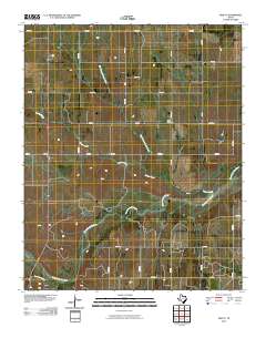 2010 Map of Twitty, 2010 Print