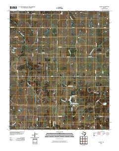 2010 Map of Vashti, 2010 Print
