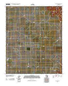2010 Map of Vigo Park, 2010 Print