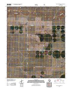 2010 Map of West of Brickel, 2010 Print