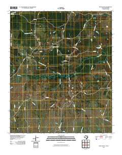 2010 Map of White Rock, 2010 Print