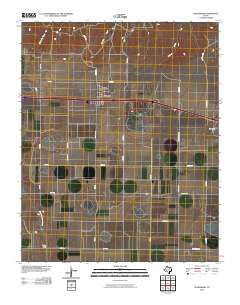 2010 Map of Wildorado, 2010 Print