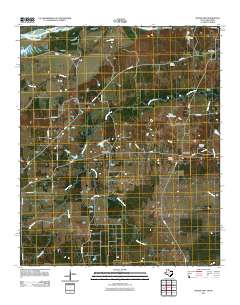 2011 Map of Woodland, 2011 Print