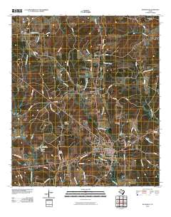 2010 Map of Woodville, 2010 Print