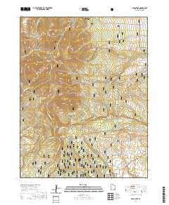 2020 Map of Abajo Peak, 2020 Print
